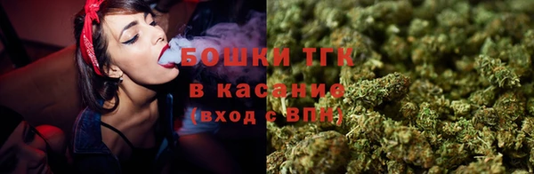 гашик Богородицк