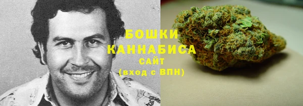 гашик Богородицк