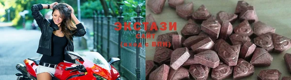 гашик Богородицк