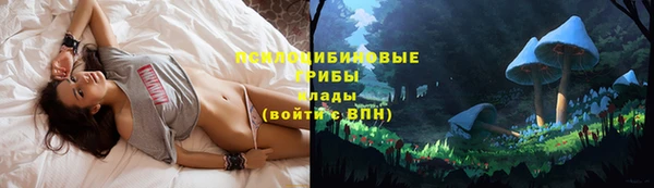герыч Богданович
