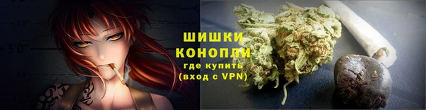 индика Богородск