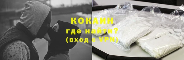 индика Богородск