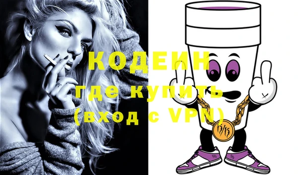 индика Богородск