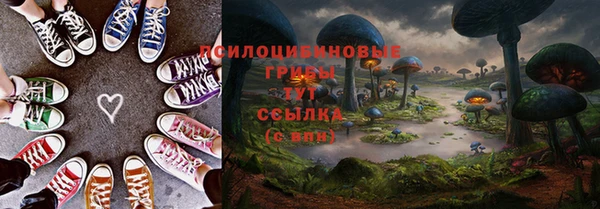 индика Богородск