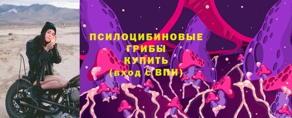 индика Богородск