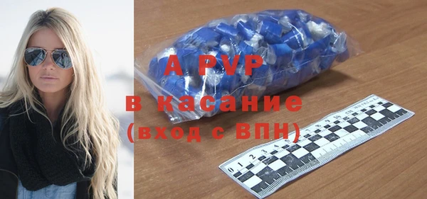 индика Богородск