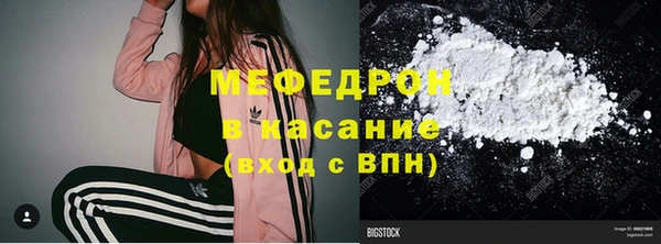 индика Богородск