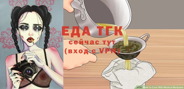 индика Богородск