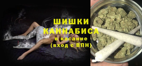 индика Богородск