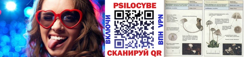 Псилоцибиновые грибы прущие грибы  Короча 